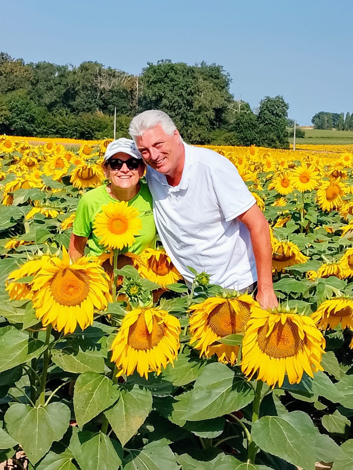 Baron Figues property and pool