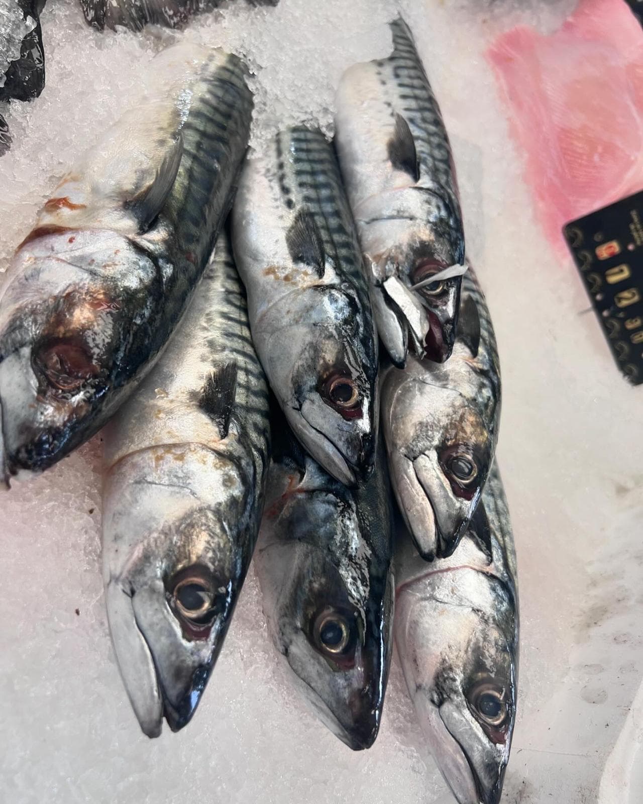 Wine tasting experience