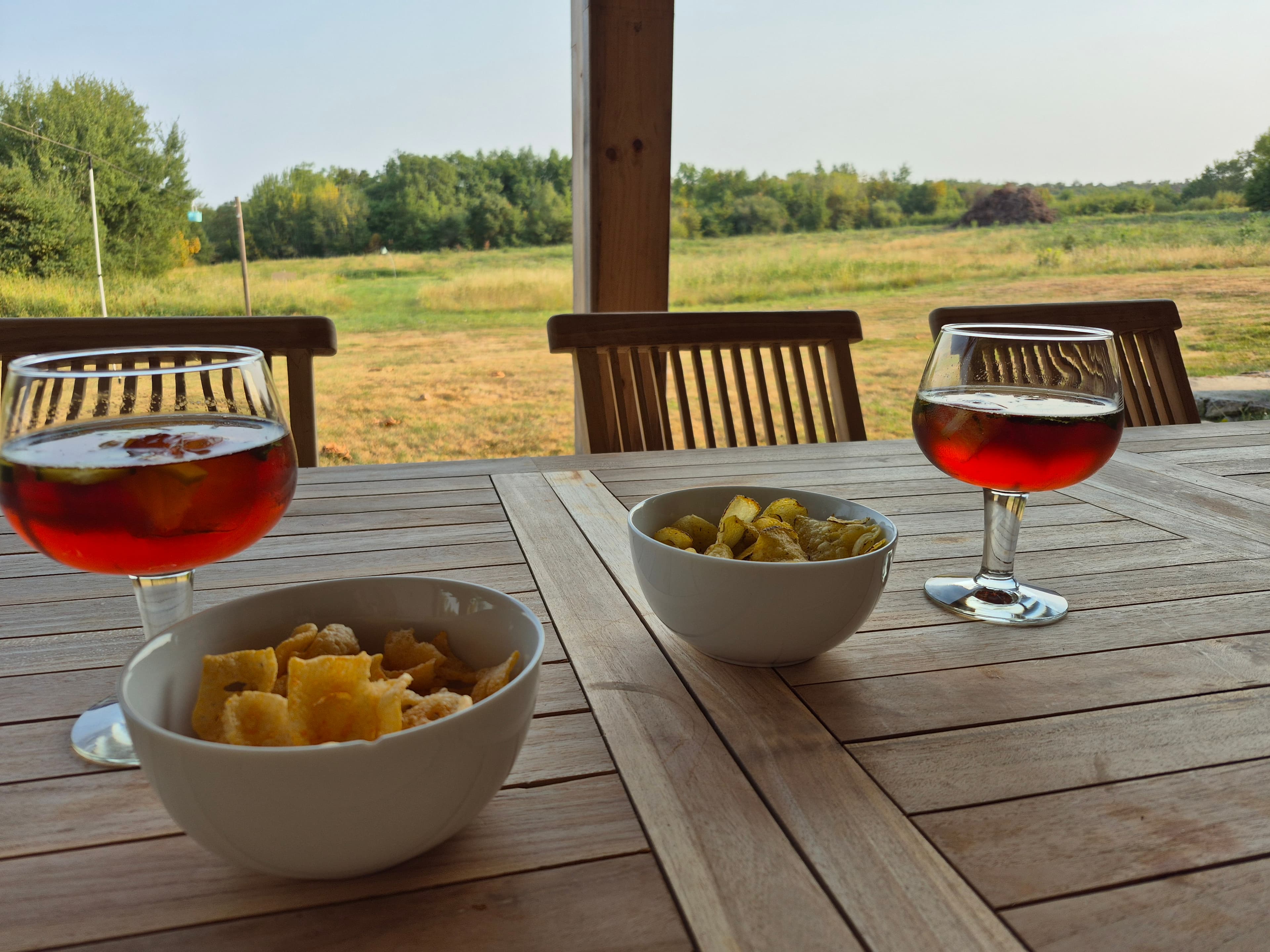 Local Gascony wines and aperitifs
